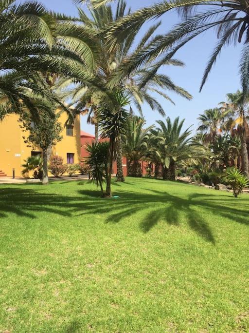 Corralejo Happy Place, Precioso Apartamento Con Piscina Bagian luar foto