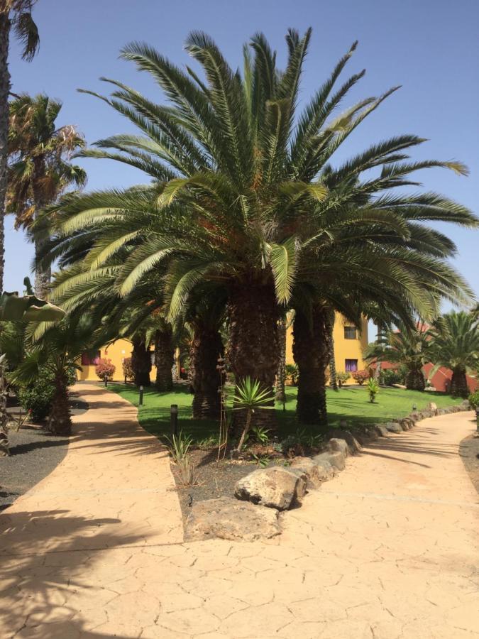 Corralejo Happy Place, Precioso Apartamento Con Piscina Bagian luar foto