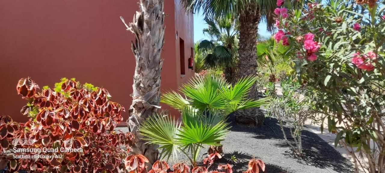 Corralejo Happy Place, Precioso Apartamento Con Piscina Bagian luar foto